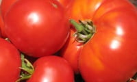 Помидоры
